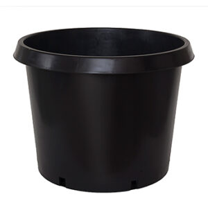 Chậu 7 gallons lùn